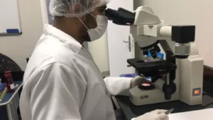 Pesquisador analisando lâminas de protozoários (Trypanosoma cruzi)