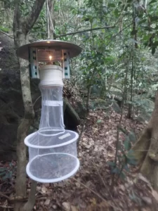 Armadilha luminosa tipo CDC