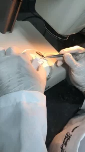 Pesquisador identificando vetores em lupa estereoscópica