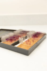 Laboratório de Biodiversidade em Saúde