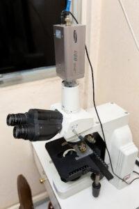 Laboratório de Biodiversidade em Saúde