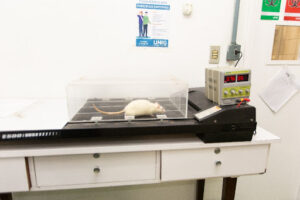 Laboratório de Experimentação Animal