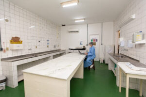 Laboratório de Experimentação Animal