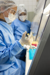 Laboratório de Pesquisa de Odontologia Aplicada