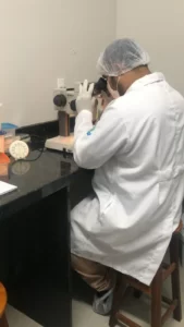 Pesquisador utilizando lupa estereoscópica