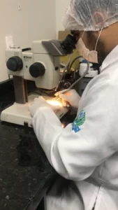 Pesquisador utilizando lupa estereoscópica