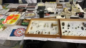 Material didático utilizado nas exposições